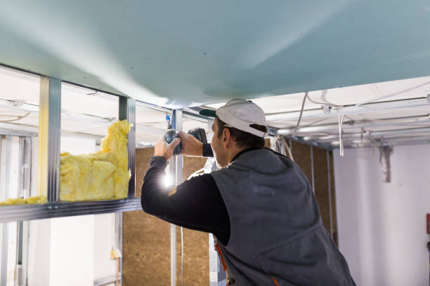 Best Specialized Insulation Services in St George, SC