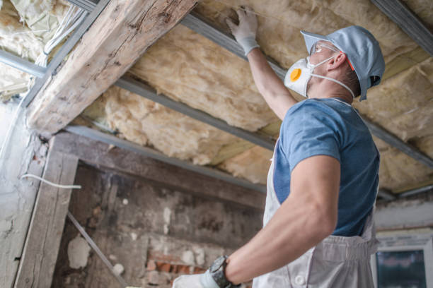Best DIY Insulation Kits and Guidance in St George, SC