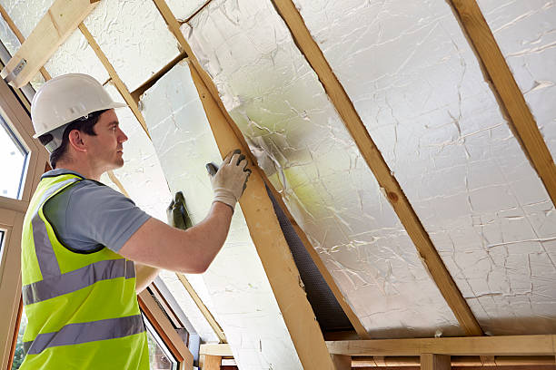 Best Cellulose Insulation in St George, SC